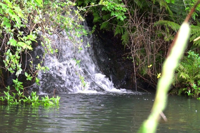 Photo of property in 69 Francis Road, Whakamarama, Tauranga, 3172