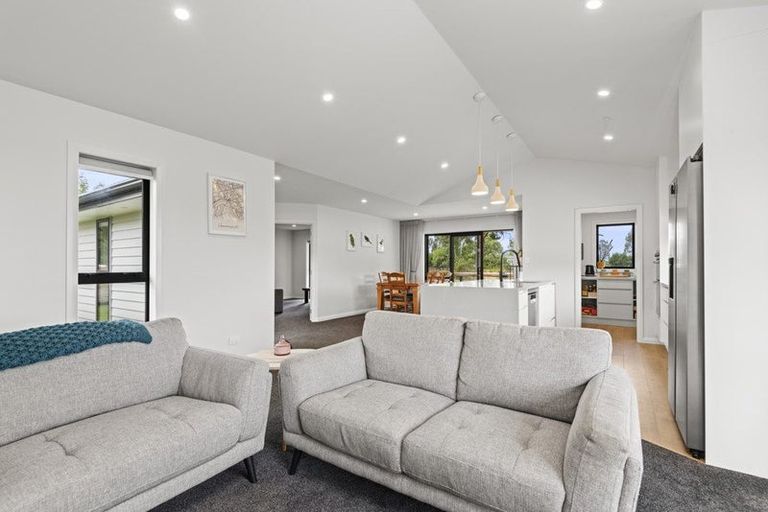 Photo of property in 569 Taonui Road, Colyton, Feilding, 4775