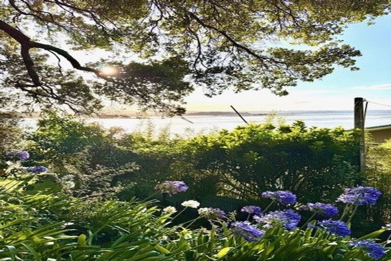 Photo of property in 238 Ohiwa Harbour Road, Waiotahe, Opotiki, 3198