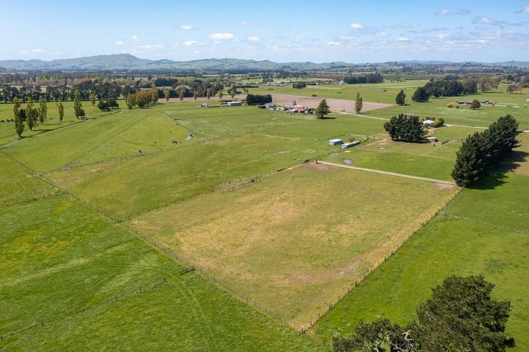 Photo of property in 49 Budd Road, Upper Plain, Masterton, 5888