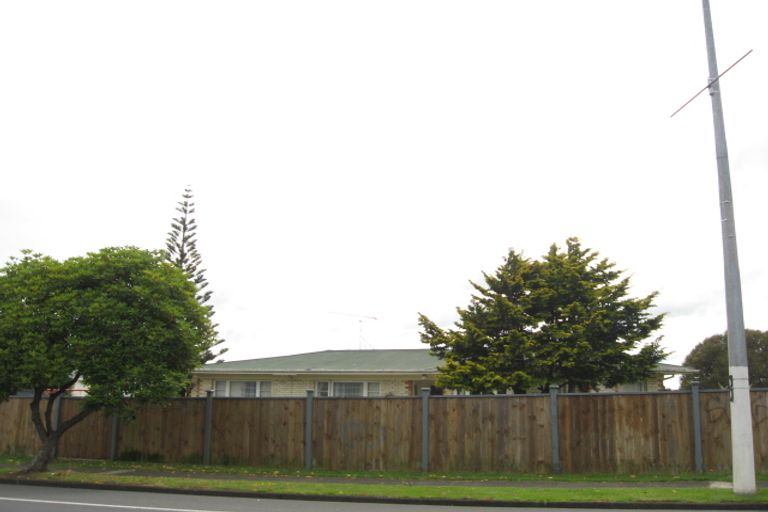 Photo of property in 133 Edinburgh Street, Pukekohe, 2120