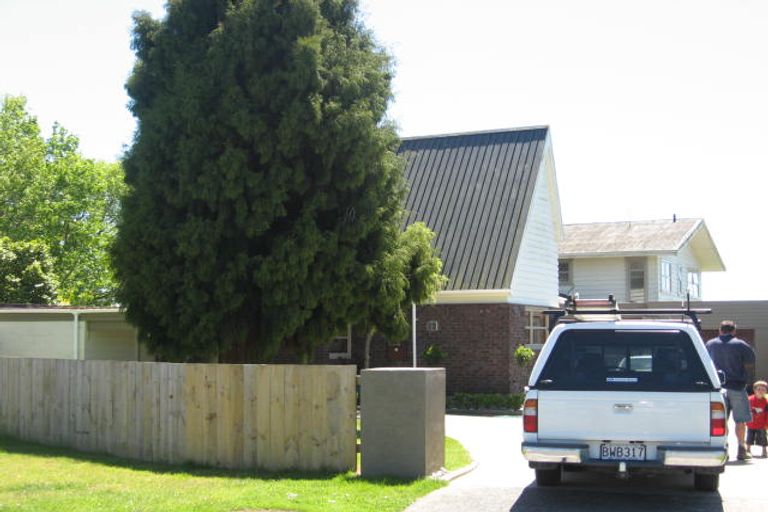 Photo of property in 176 Mcnair Road, Te Awamutu, 3800