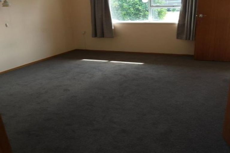 Photo of property in 45 Carisbrooke Street, Katikati, 3129