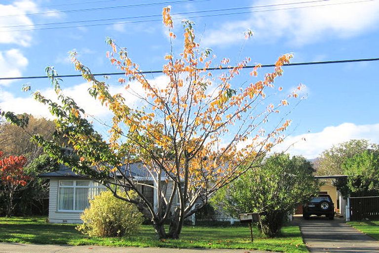 Photo of property in 30 Tutanekai Street, Paraparaumu, 5032