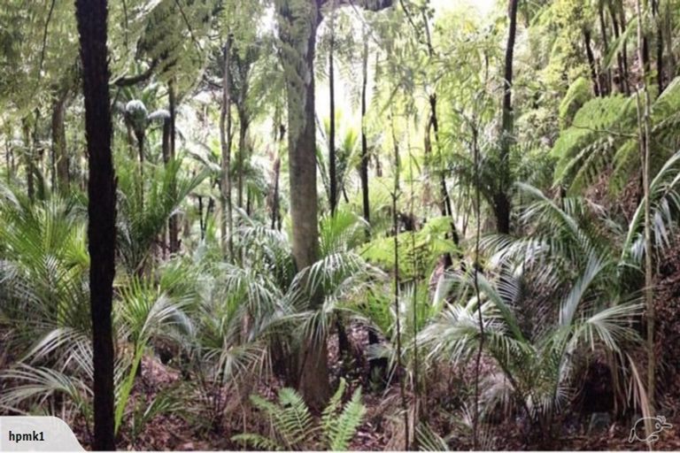 Photo of property in 19 Waikarekare Lane, Karekare, Auckland, 0772