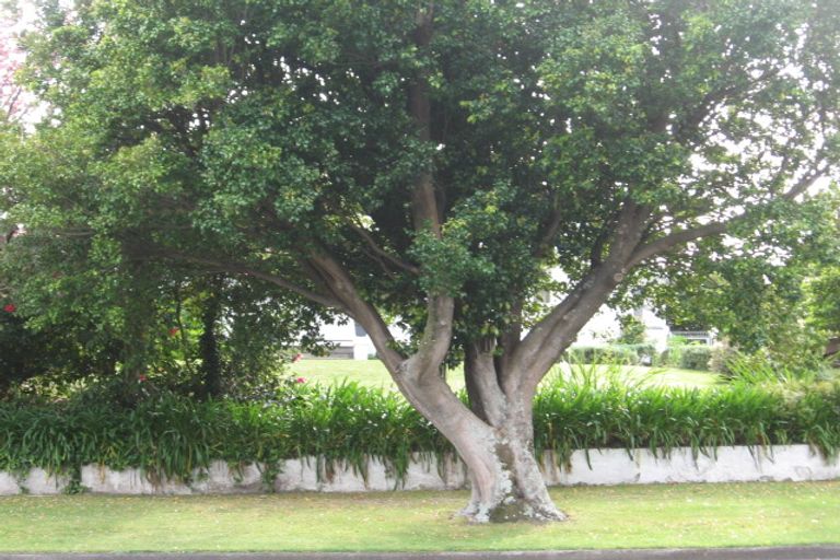 Photo of property in 87 Stout Street, Whataupoko, Gisborne, 4010