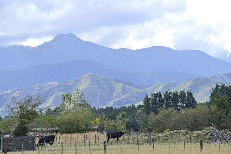 Photo of property in 48 Jordan Road, Waingawa, Carterton, 5791