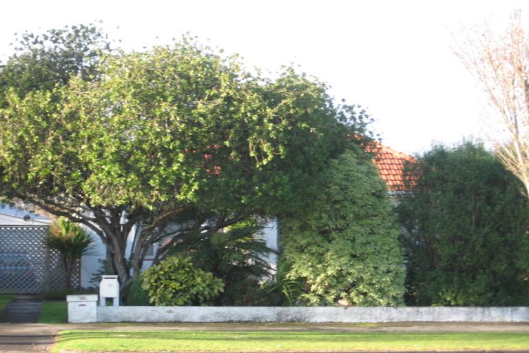 Photo of property in 64 Grey Street, Hamilton East, Hamilton, 3216