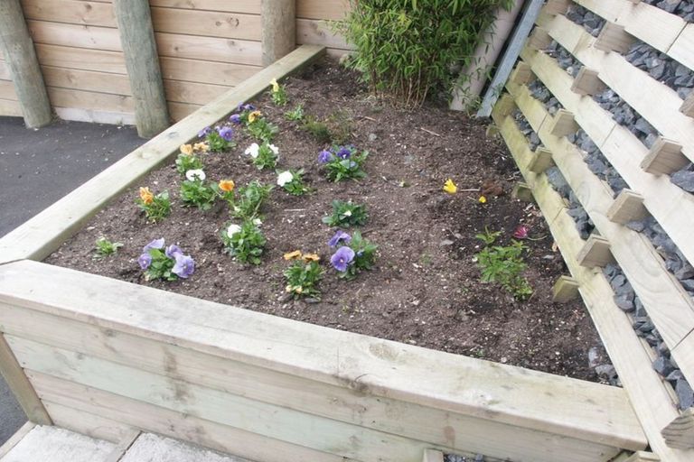 Photo of property in 1 Haig Street, Mornington, Dunedin, 9011