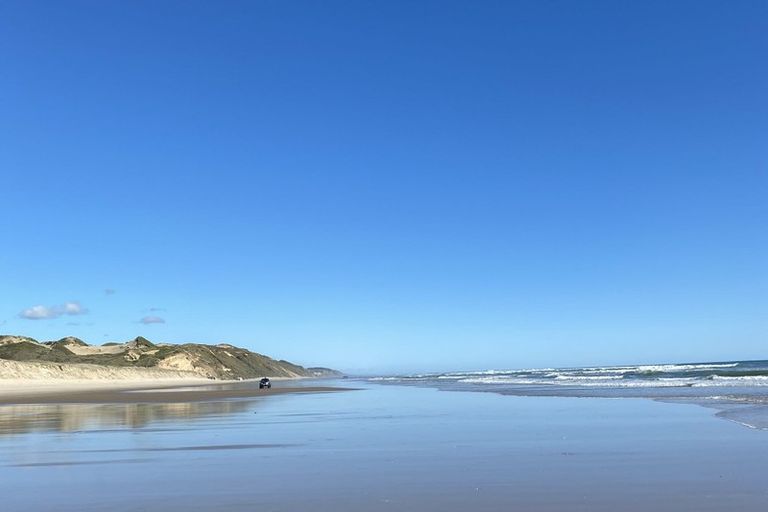 Photo of property in Birdsnest Holiday Ventures, 990 Trounson Park Road, Donnellys Crossing, Dargaville, 0379