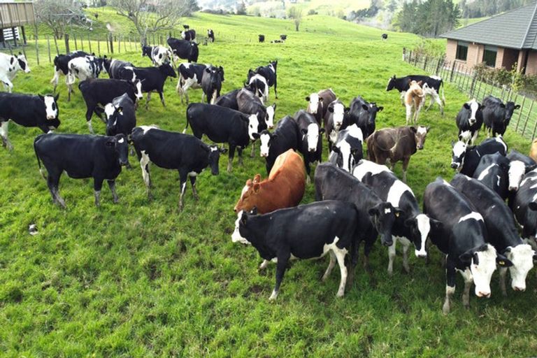 Photo of property in 2a Kelgary Place, Wellsford, 0900