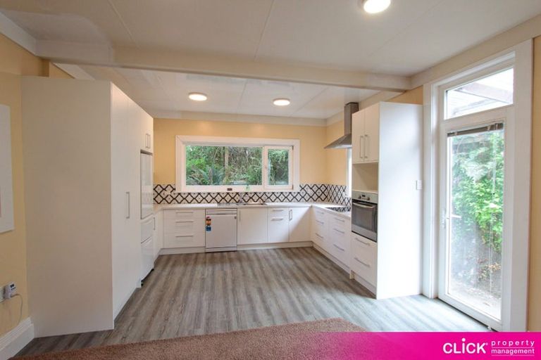 Photo of property in 19 Michie Street, Belleknowes, Dunedin, 9011