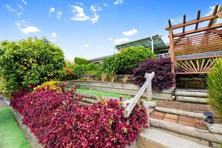 Photo of property in 4 Palm Court, Mount Maunganui, 3116