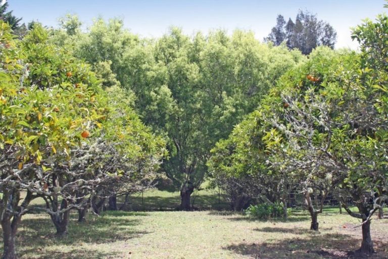 Photo of property in 325 Sandspit Road, Warkworth, 0982