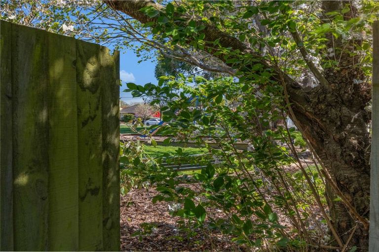 Photo of property in 26 Springbank Street, Bryndwr, Christchurch, 8053