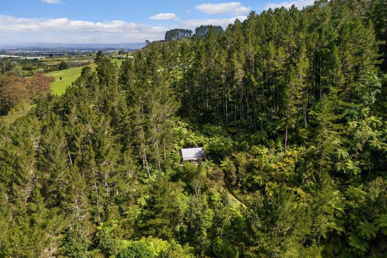 Photo of property in 403 Woodland Road, Tahawai, Katikati, 3170