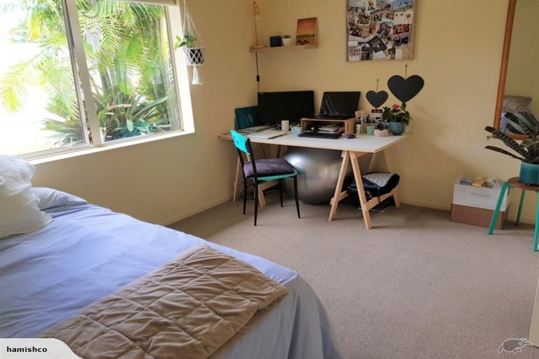 Photo of property in 44b Leander Street, Mount Maunganui, 3116