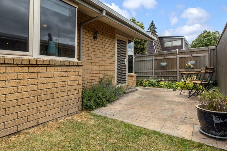 Photo of property in 12 Andrew Street, Blenheim, 7201