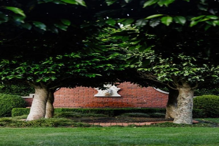 Photo of property in 77 Harrowfield Drive, Harrowfield, Hamilton, 3210