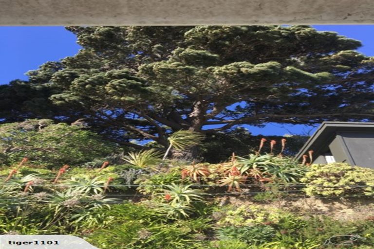 Photo of property in 149 Townsend Road, Miramar, Wellington, 6022