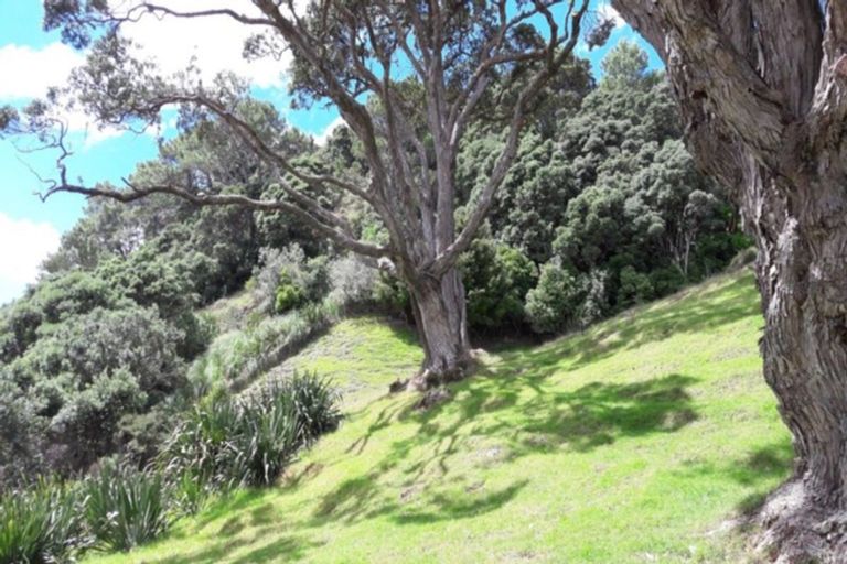 Photo of property in 130 Tangiora Avenue, Whangapoua, Coromandel, 3582