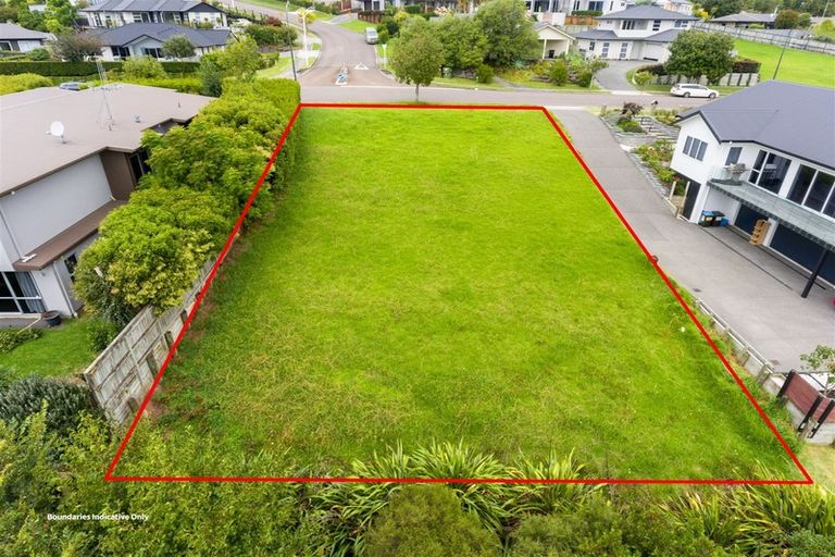 Photo of property in 113 Castlewold Drive, Bethlehem, Tauranga, 3110