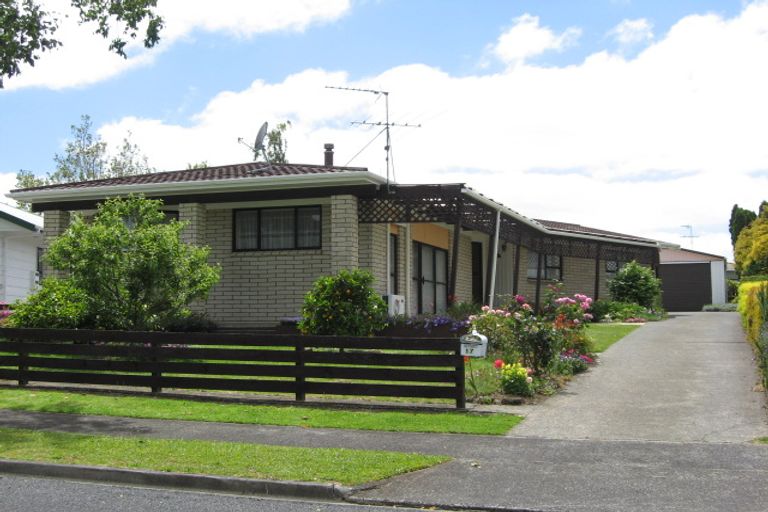Photo of property in 12 Morrow Terrace, Pukekohe, 2120