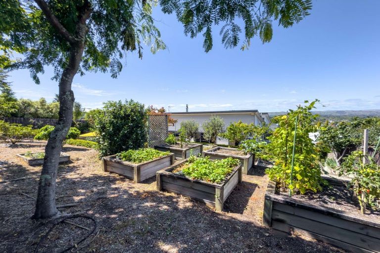 Photo of property in 11 Konini Street, Lansdowne, Masterton, 5810