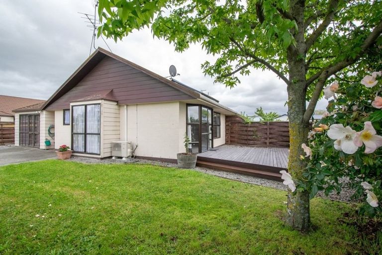 Photo of property in 6a Boyce Street, Springlands, Blenheim, 7201
