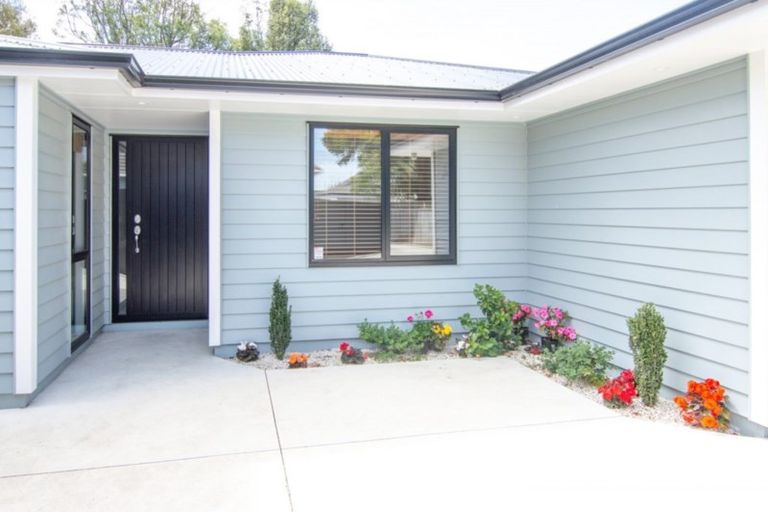 Photo of property in 22a Alfred Street, Roslyn, Palmerston North, 4414