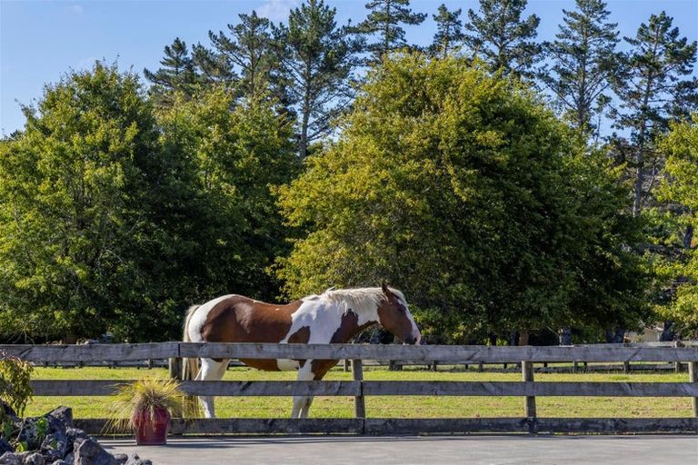 Photo of property in 883 Peak Road, Helensville, 0875