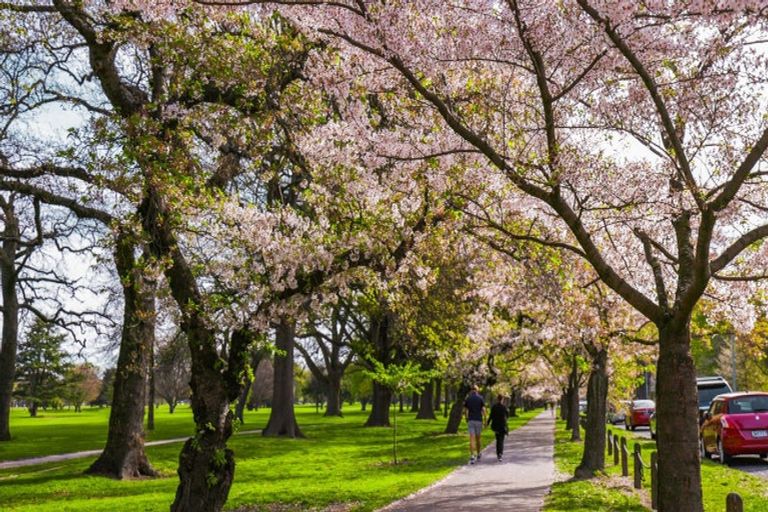 Photo of property in 50a Fendalton Road, Fendalton, Christchurch, 8014