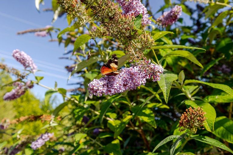 Photo of property in 77 High Street, Eketahuna, 4900