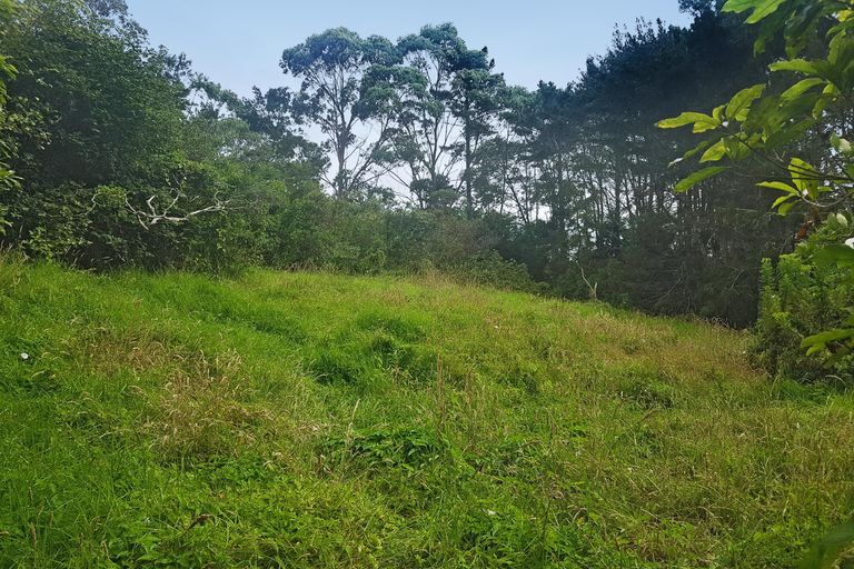 Photo of property in 914 Whakapirau Road, Whakapirau, Maungaturoto, 0583