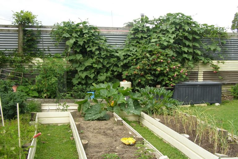 Photo of property in 1 Whakaari Road, Waiotahe, Opotiki, 3198