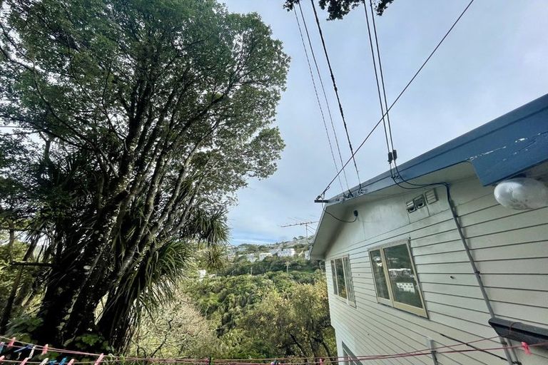 Photo of property in 24 Saint Michaels Crescent, Kelburn, Wellington, 6012