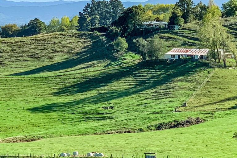 Photo of property in 114 Aorangi Road, Paeroa, 3600