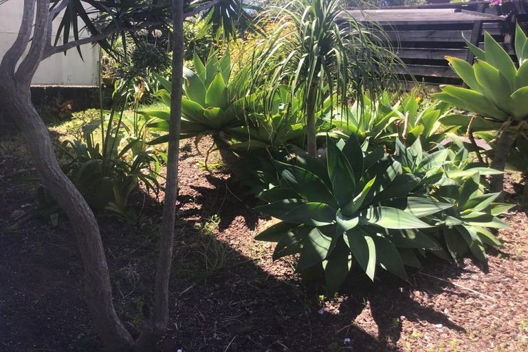 Photo of property in 34b Velma Road, Hillcrest, Auckland, 0627