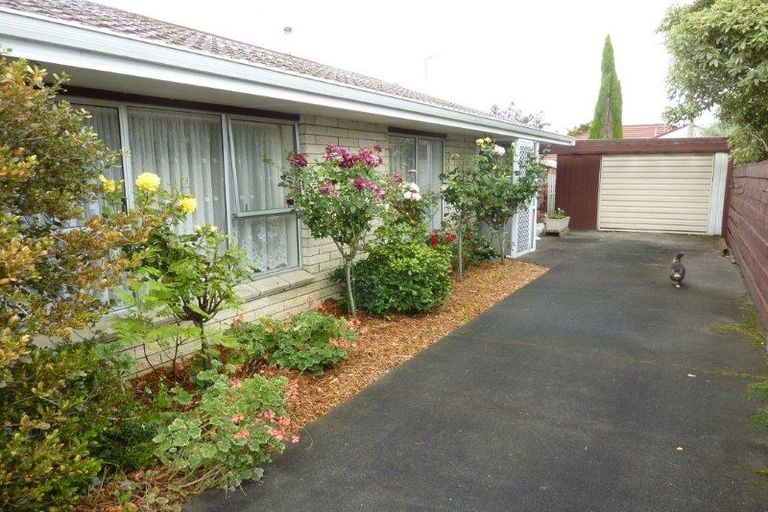 Photo of property in 176b Ruahine Street, Roslyn, Palmerston North, 4414