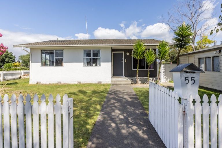 Photo of property in 55 Allen Berry Avenue, Pirimai, Napier, 4112