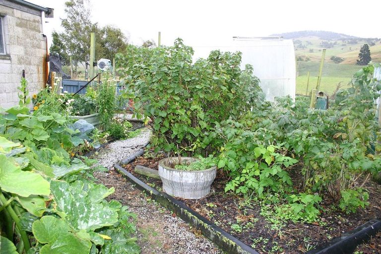 Photo of property in 113 Main Road, Waikouaiti, 9510