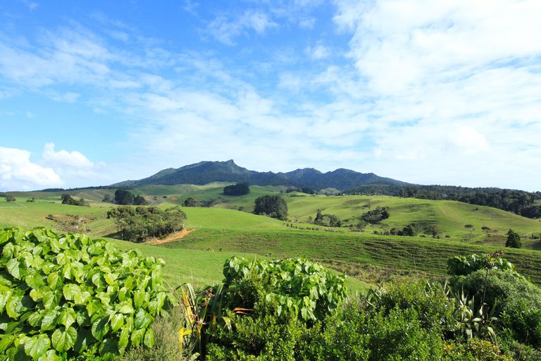 Photo of property in 76 Te Ahiawa Road, Raglan, 3297