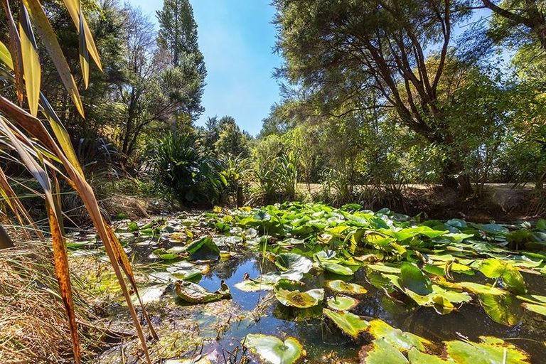 Photo of property in 142 Wade River Road, Wade Heads, Whangaparaoa, 0932