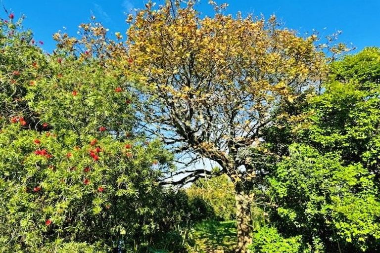 Photo of property in 66a Walker Road, Awanui, 0486