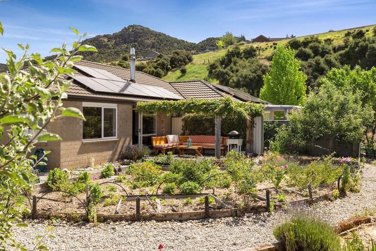 Photo of property in 44 Quinnat Street, Albert Town, Wanaka, 9305