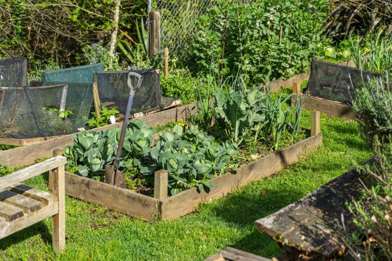 Photo of property in 5 Olive Close, Omokoroa, 3114