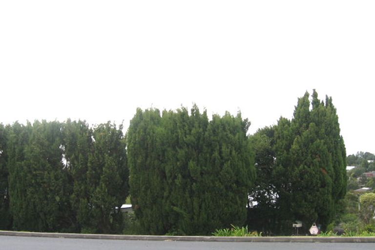 Photo of property in 17 Coronation Road, Hillcrest, Auckland, 0627