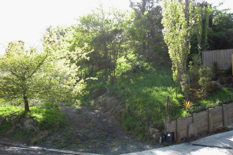 Photo of property in 55 Murphy Street, Toi Toi, Nelson, 7010