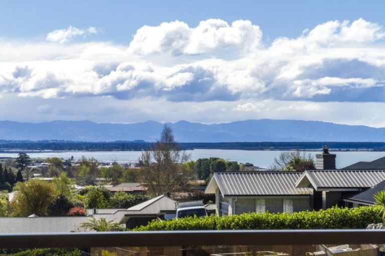 Photo of property in 41 Angelus Avenue, Richmond, 7020