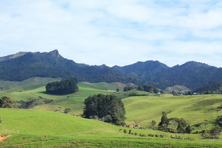 Photo of property in 76 Te Ahiawa Road, Raglan, 3297